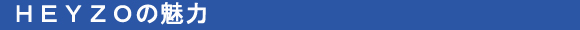 HEYZO�̖���