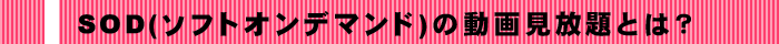 SOD(�\�t�g�I���f�}���h)�̓��挩����Ƃ́H