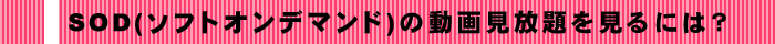 SOD(�\�t�g�I���f�}���h)�̓��挩���������ɂ́H