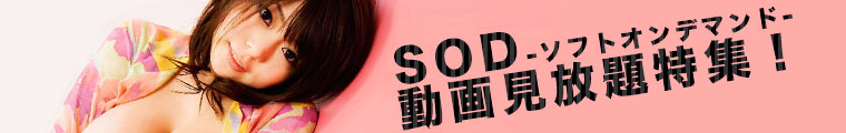 SOD(�\�t�g�I���f�}���h)���挩������W